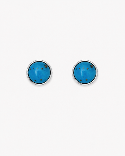 Turquoise Duo